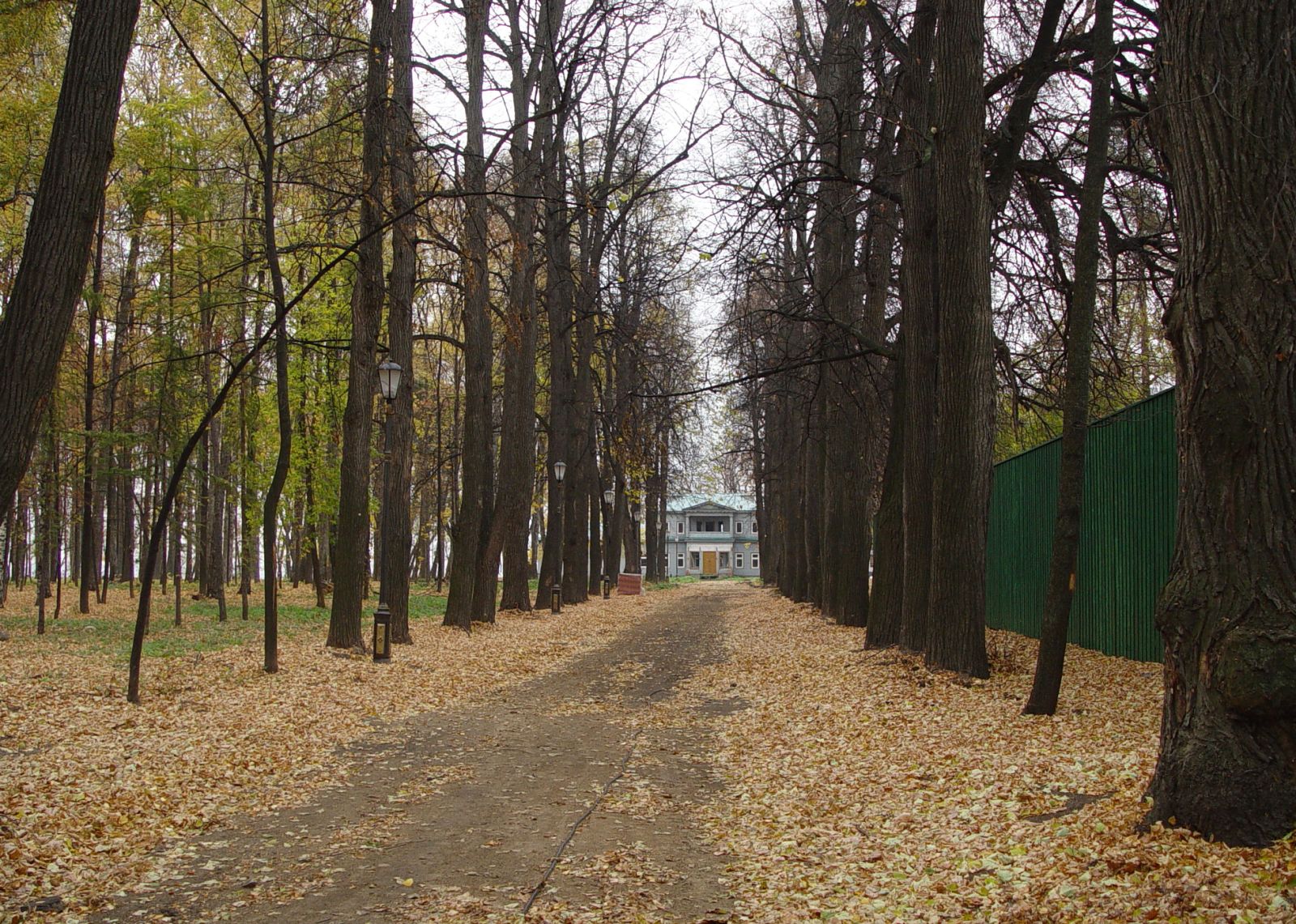 Зименки. Въездная аллея усадьбы. Фото И.С. Агафоновой, 2005 г.