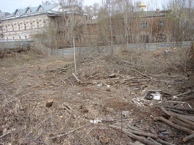 Понижение в центральной части площадки обследования. Общий вид с юго-востока
