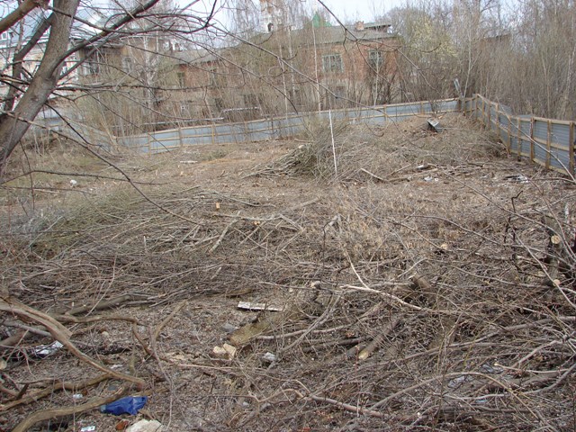Понижение в центральной части площадки обследования. Общий вид с юга