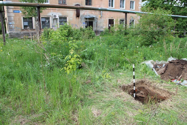 Местоположение шурфа № 4. Общий вид с юго-востока