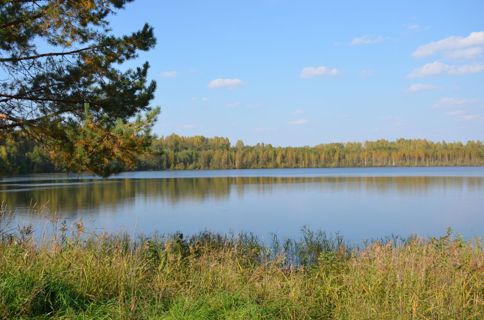 Вид озера Светлояр